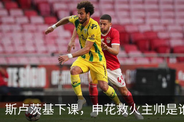 斯卢茨基下课，申花救火主帅是谁？球迷：直接报吴金贵身份证号码